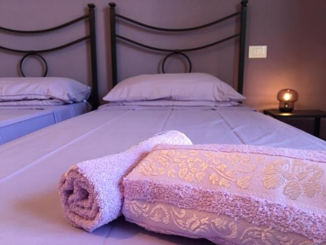 Le sorelle gemelle B&B Teramo Esterno foto