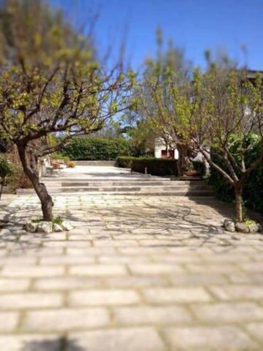 Le sorelle gemelle B&B Teramo Esterno foto