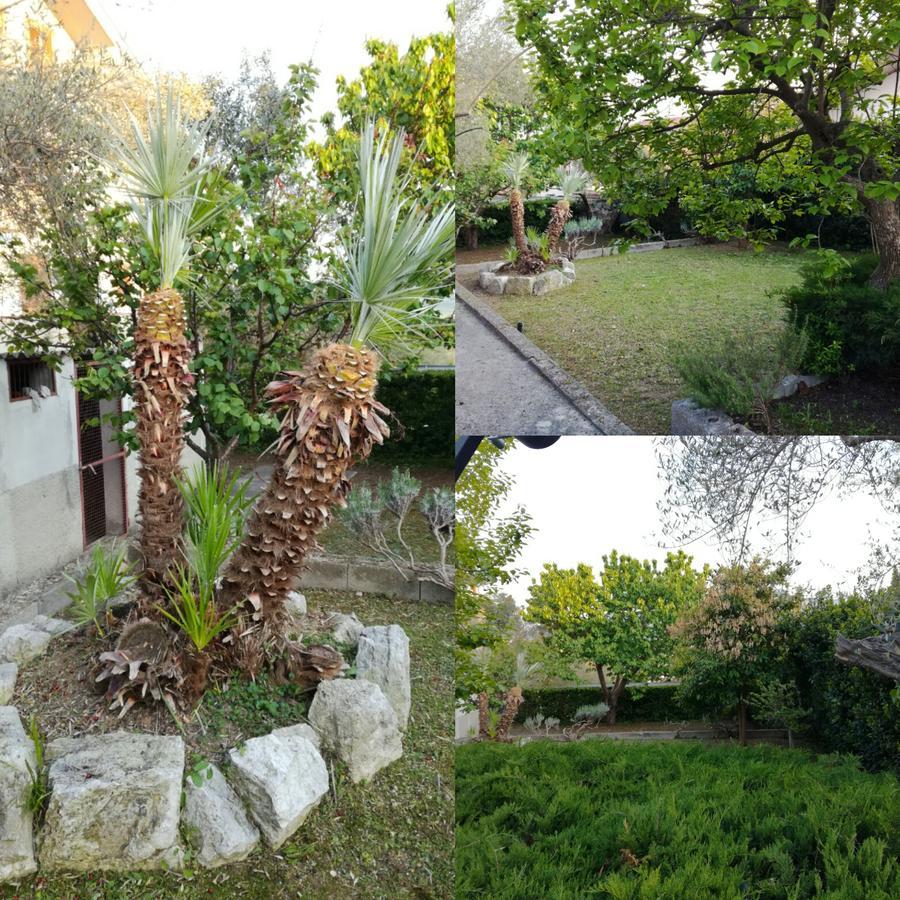 Le sorelle gemelle B&B Teramo Esterno foto