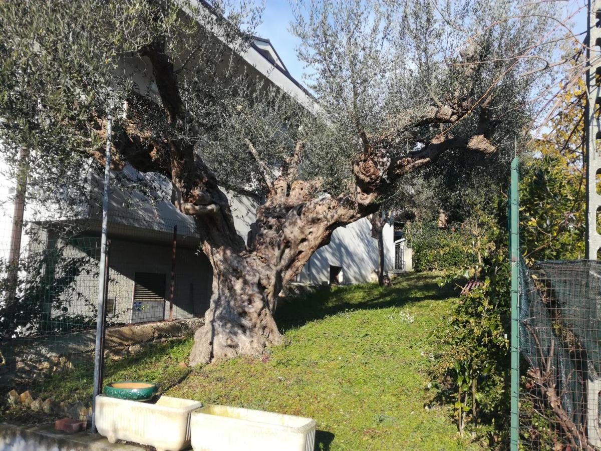 Le sorelle gemelle B&B Teramo Esterno foto